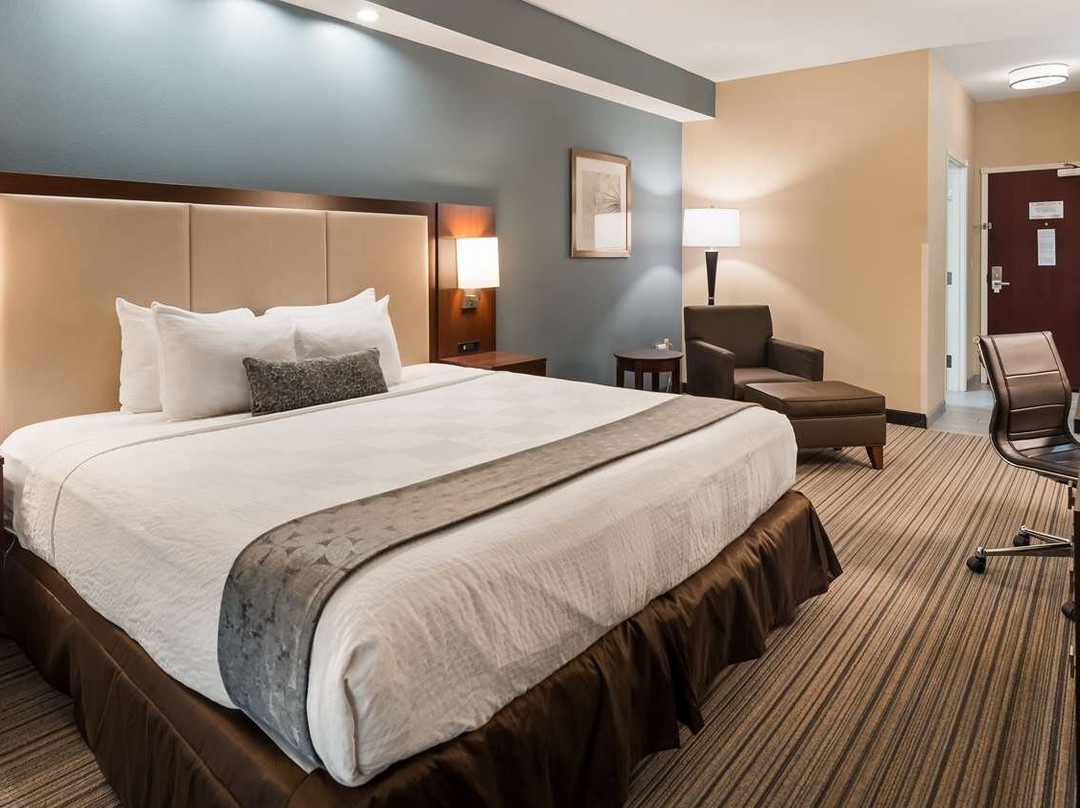 扬斯敦酒店住宿-Best Western Plus Boardman Inn & Suites