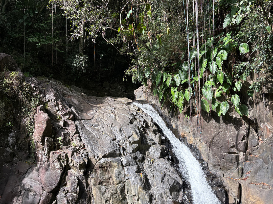 Cascade Le Saut de L'Acomat-Pointe-Noire必去景点