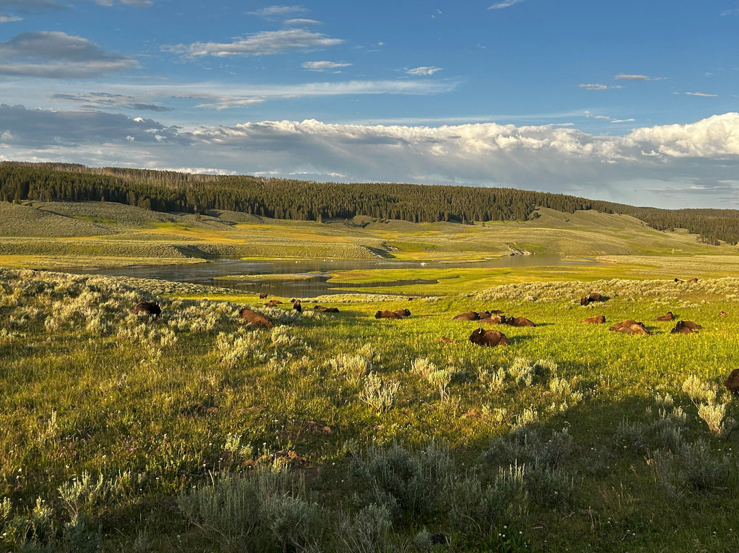 Yellowstone National Park-黄石国家公园必去景点