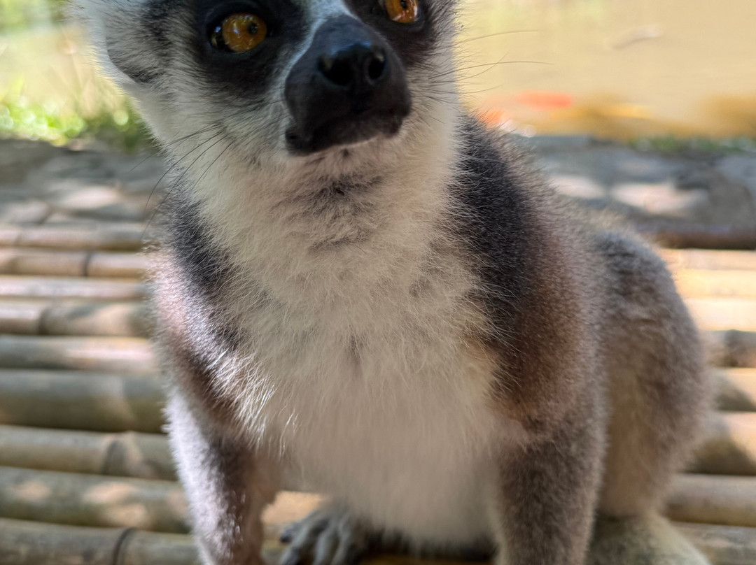 Soul of Madagascar Tours-Toamasina (Tamatave)必去景点