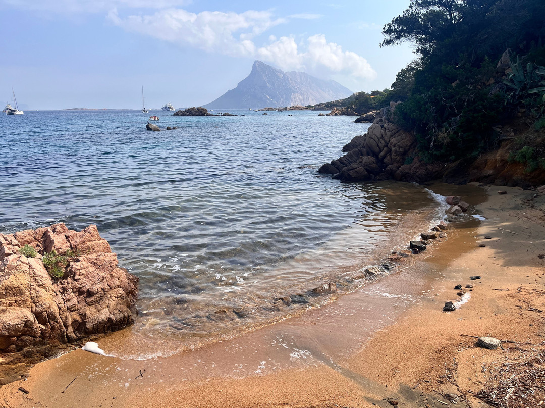 Spiaggia Delle Vacche-Baia Sardinia必去景点