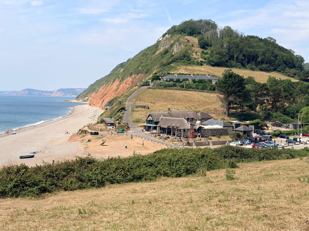 The Masons Arms, Branscombe-Branscombe必去景点