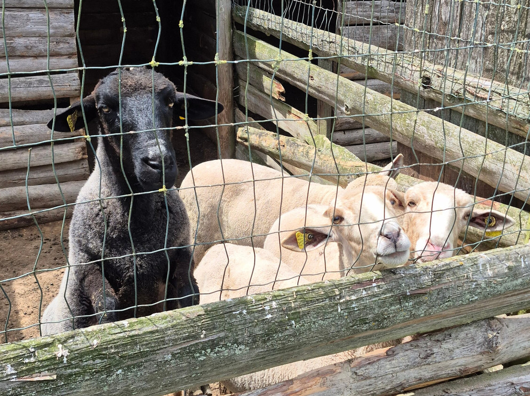 Quinta do Agricultor-蓬塔德尔加达必去景点