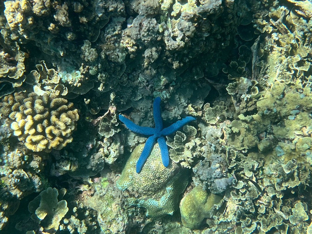 Bali Fab Dive center-艾湄湾必去景点
