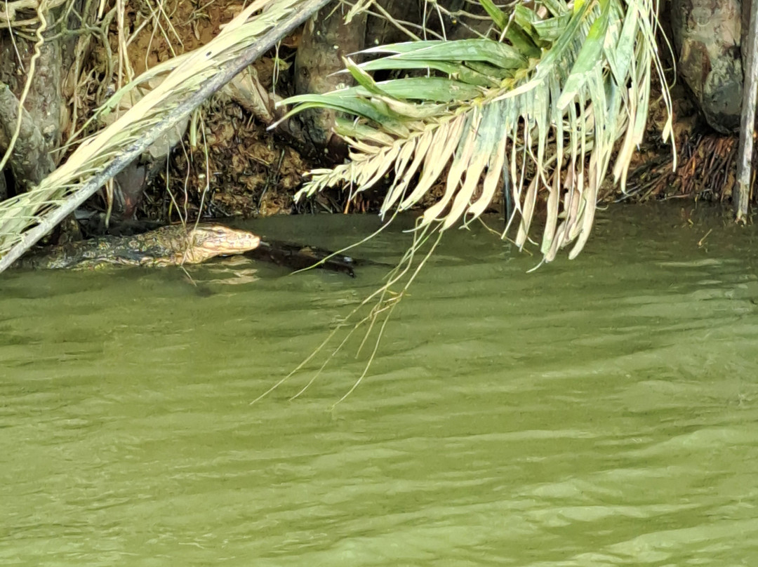 Kuantan River Cruise-关丹必去景点