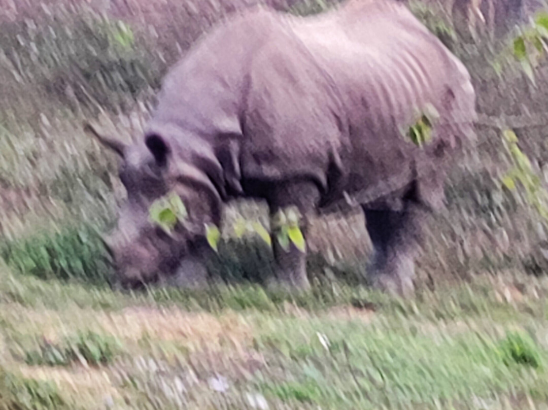 Chitwan Tharu Village-苏拉哈必去景点