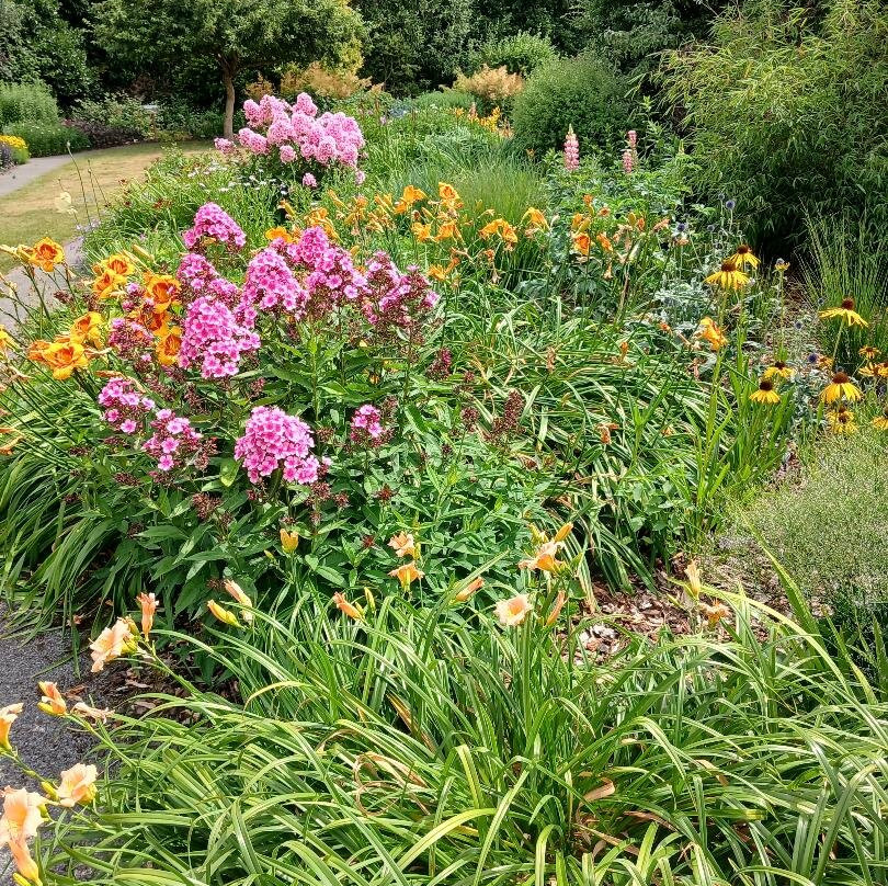 Breezy Knees Gardens-约克必去景点