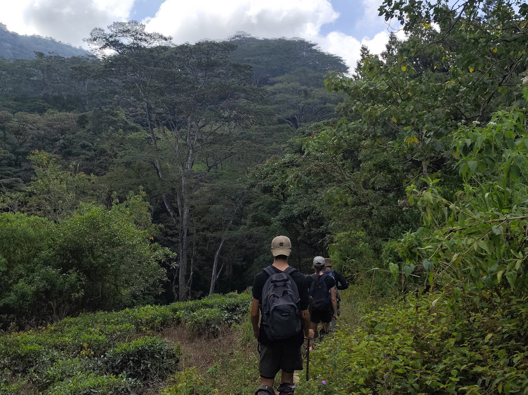 Sri Lanka Trekking-康提必去景点
