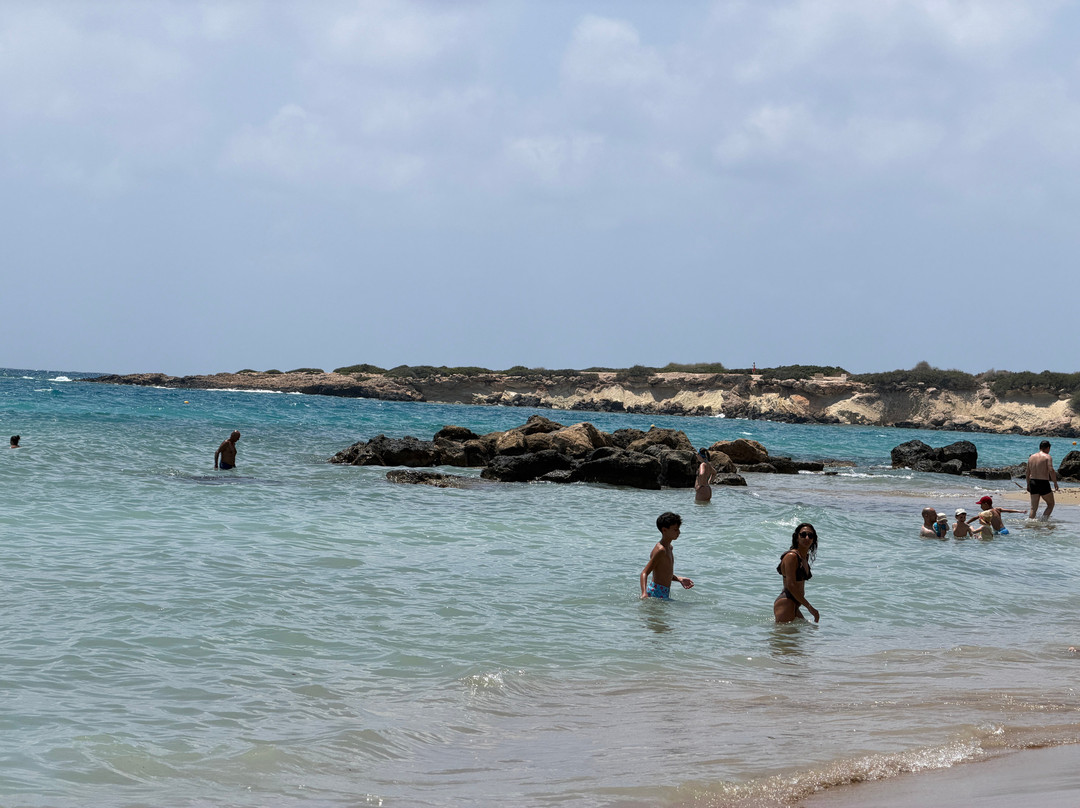 Corallia Beach-Coral Bay必去景点
