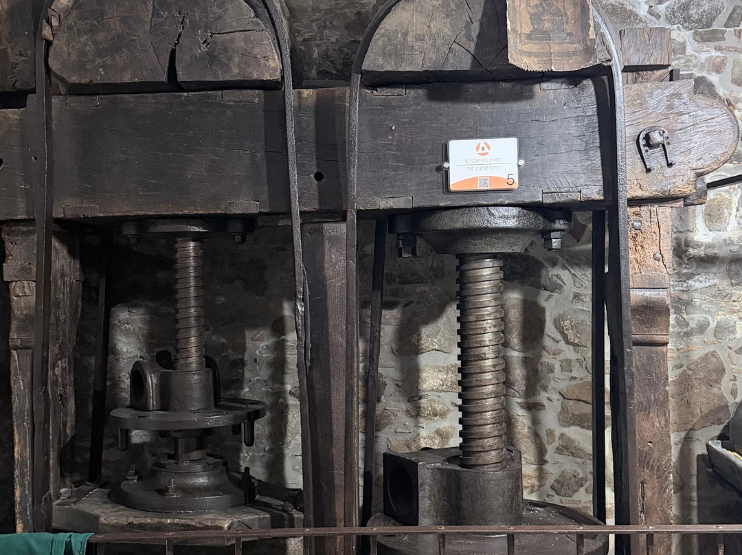 Amoreolio Museo dell'olio di Colobraro-Colobraro必去景点