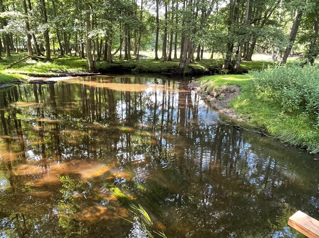 Wildpark Eekholt-Grossenaspe必去景点