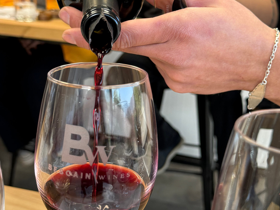 Besoain Wines-Pirque必去景点