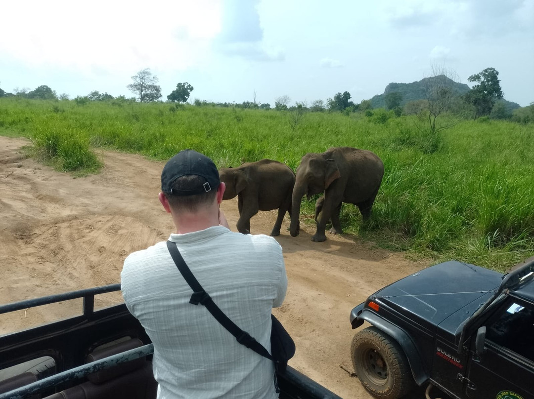 Minneriya Safari Tours-哈巴拉娜必去景点