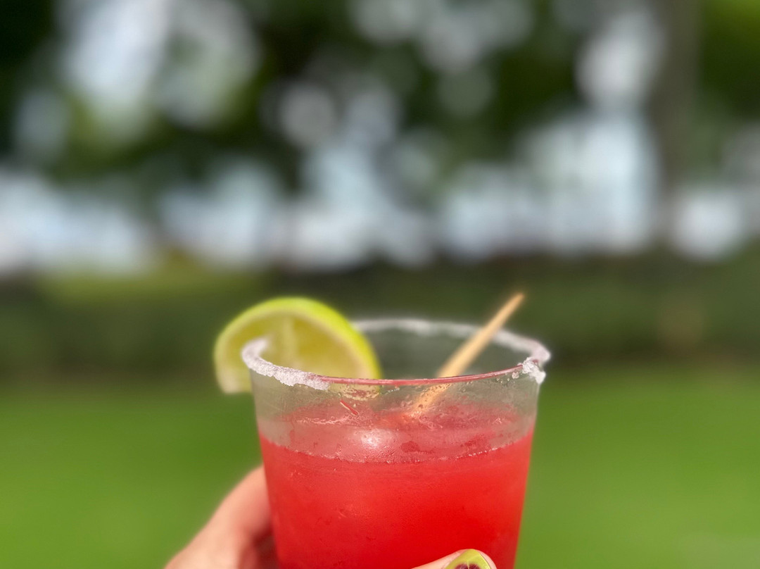 卡萨孔德海滨酒店主图