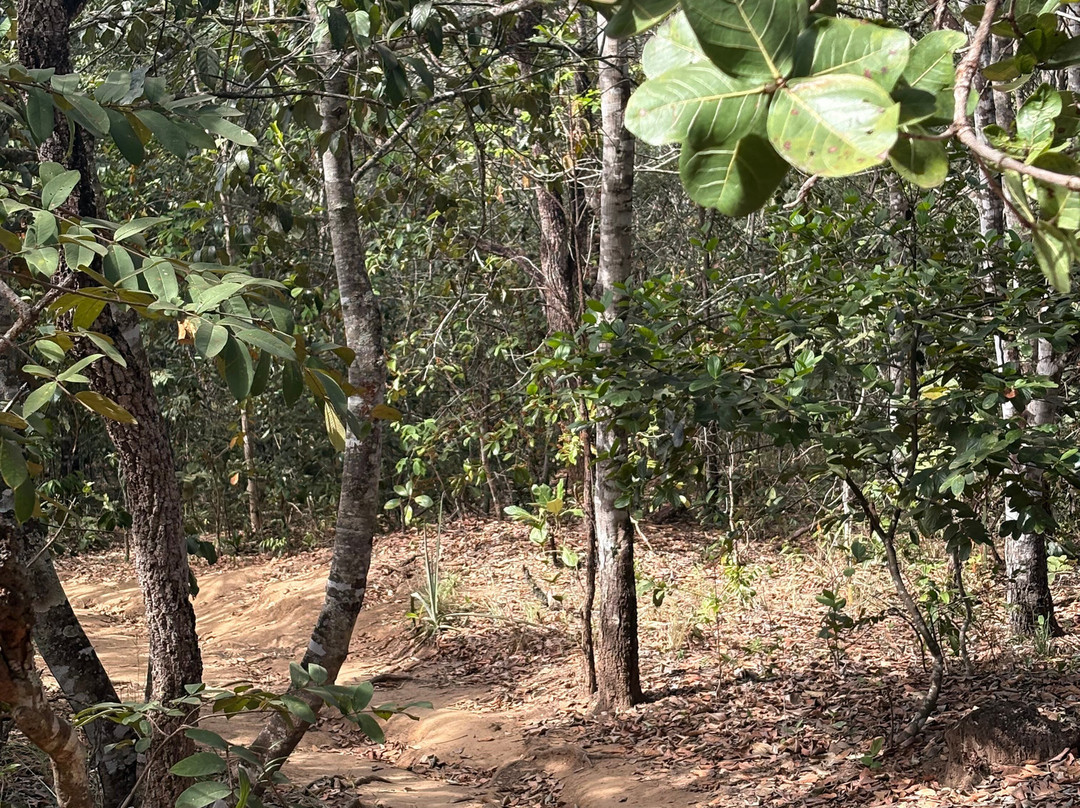Parque Estadual Serra de Caldas-Caldas Novas必去景点
