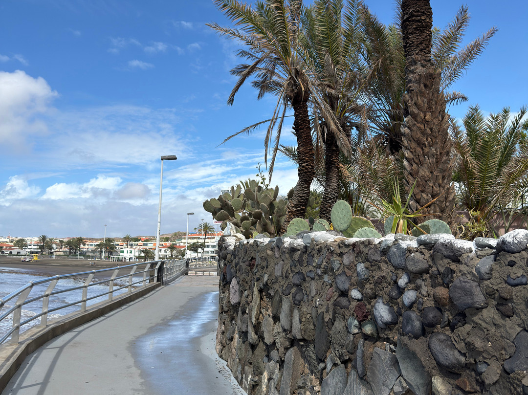 Strandpromenade San Agustin-San Agustin必去景点