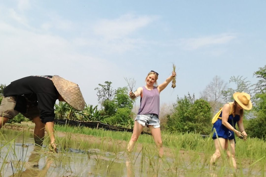 Lee 7 Farm-琅勃拉邦必去景点