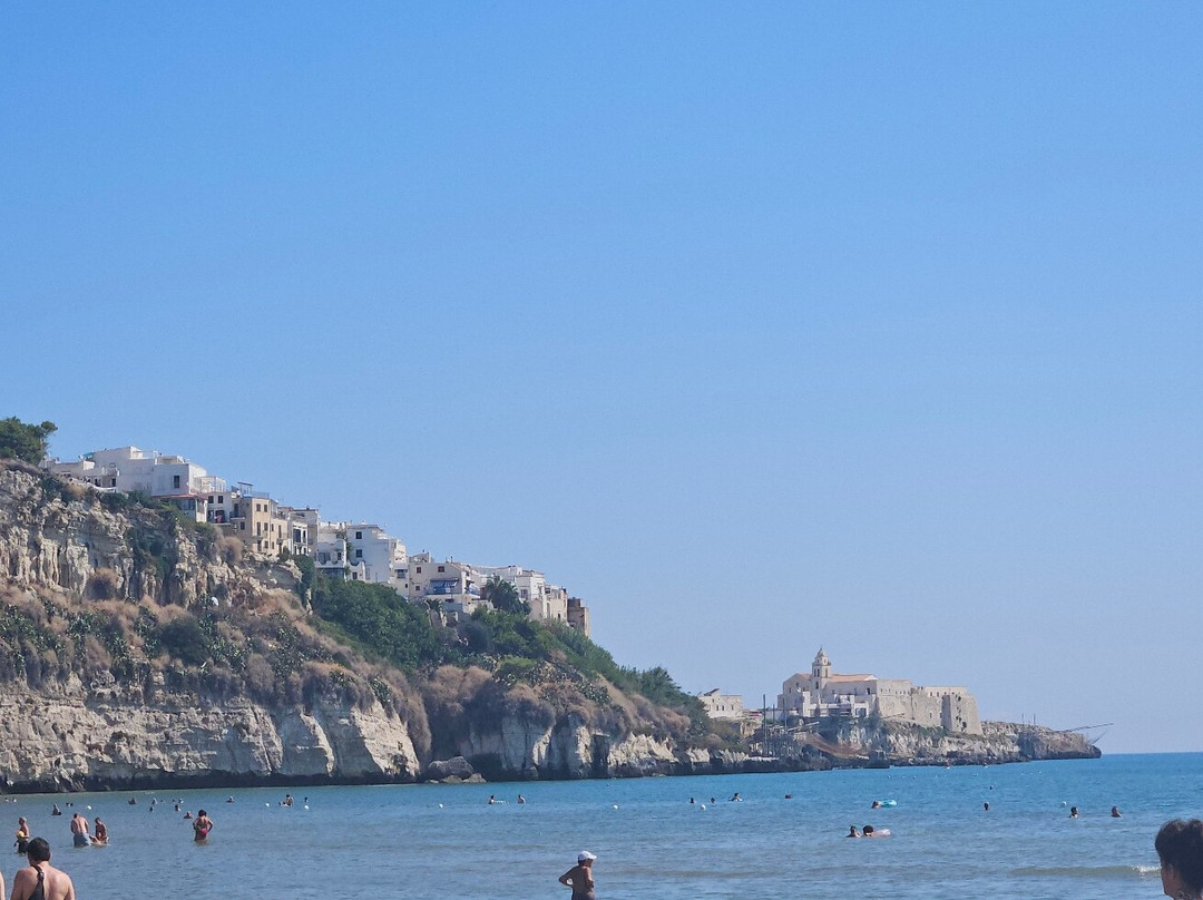 Spiaggia del Pizzomunno-维耶斯泰必去景点