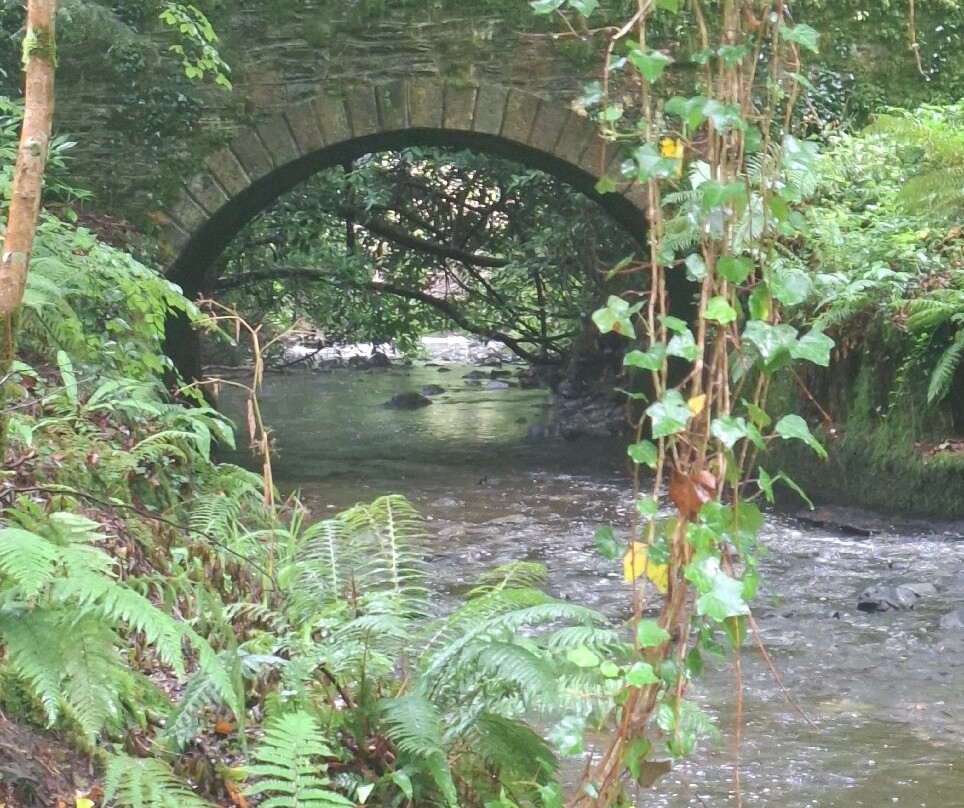 Dun A Ri Forest Park-Kingscourt必去景点