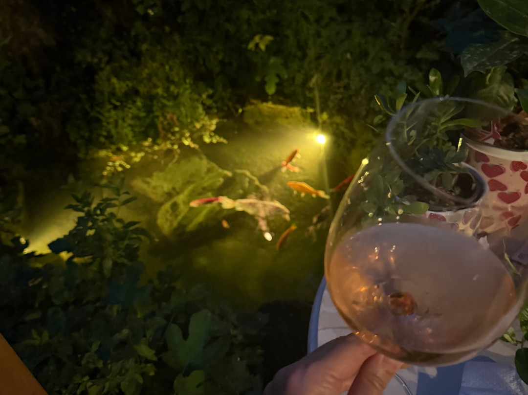 Wine Garden-斯克拉丁必去景点
