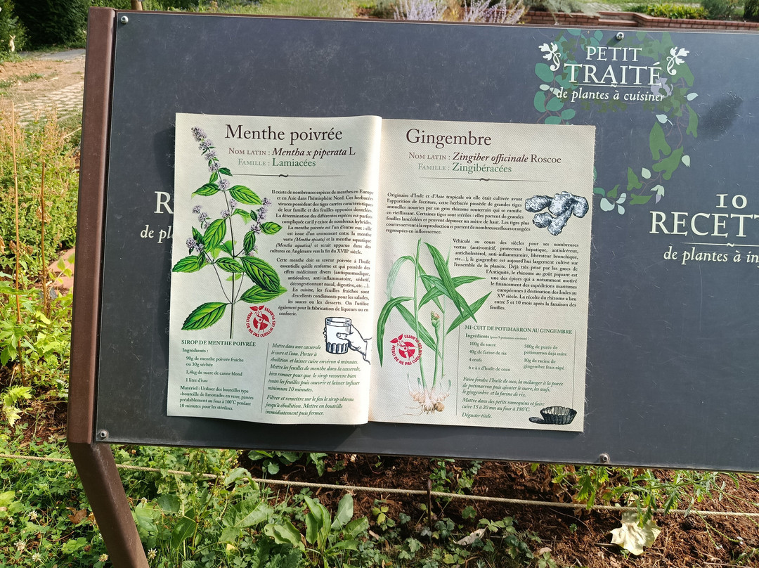 Jardin Botanique de Metz-Montigny-les-Metz必去景点