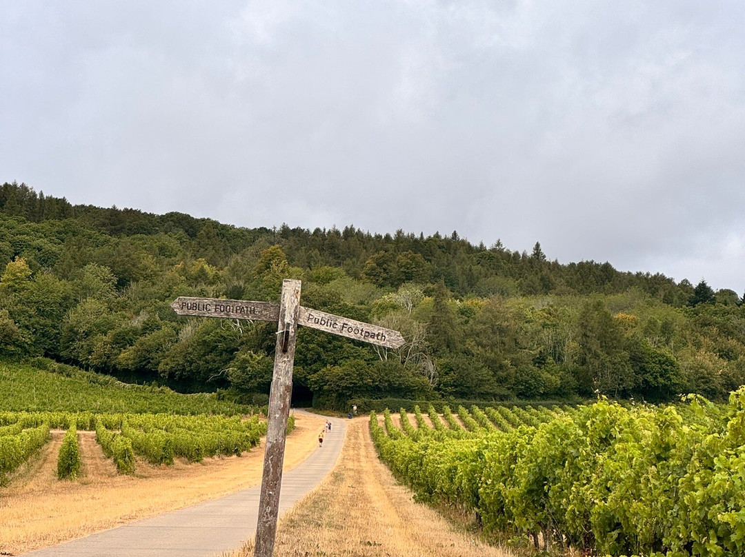 Denbies Wine Estate Ltd-多肯必去景点