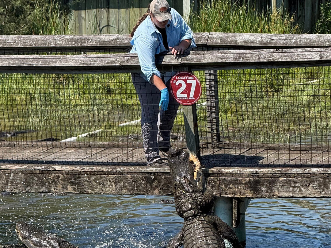 Alligator Adventure-美特尔海滩必去景点