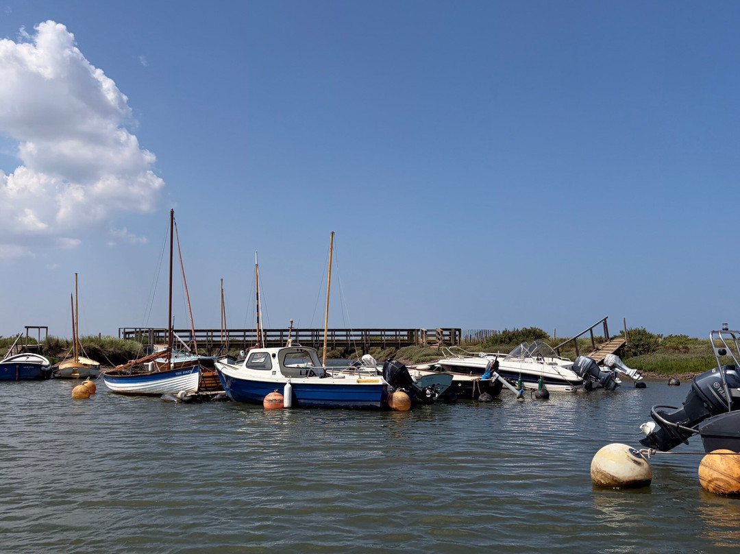 Bishops Boats Seal Trips-布莱克尼必去景点