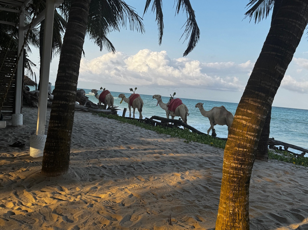 马迹沙滩精品酒店（肯尼亚） The Maji Beach Boutique Hotel主图