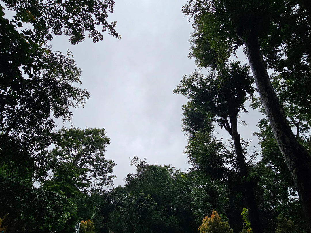 Crystal Kuruva Nature Resort & Spa主图
