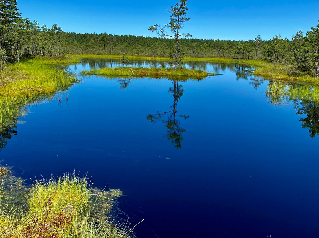 Viru Bog Trail-Kolga必去景点