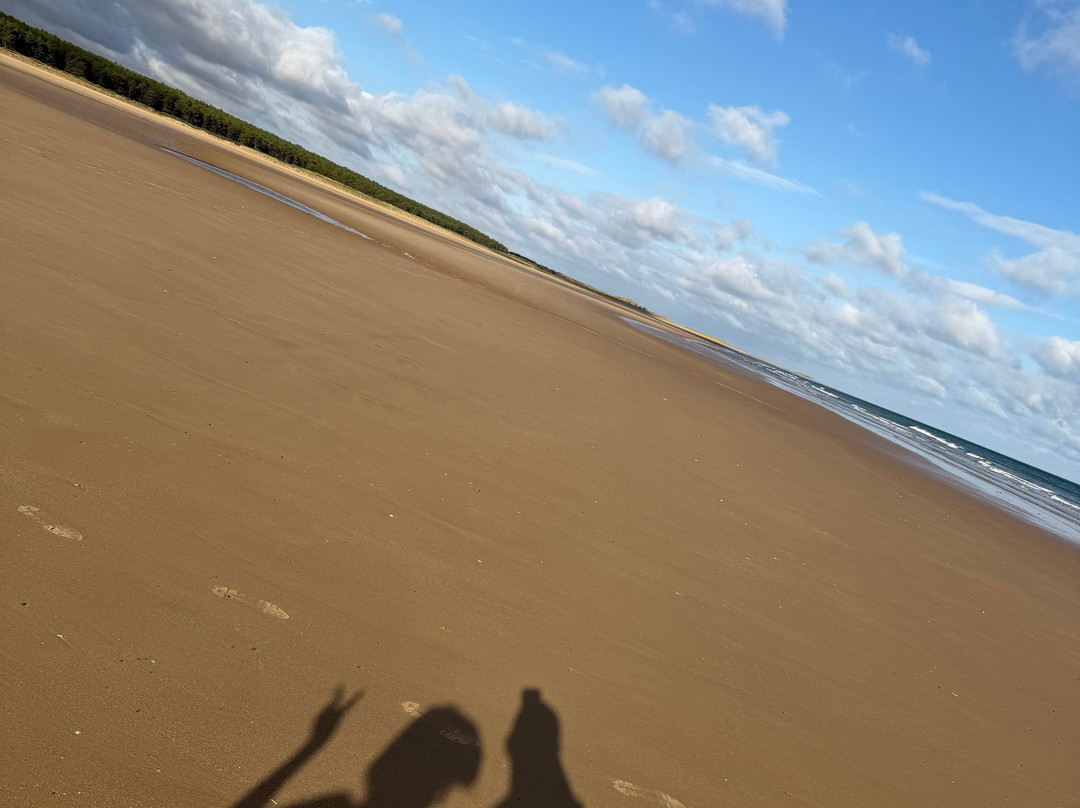 Holkham Bay-Wells-next-the-Sea必去景点