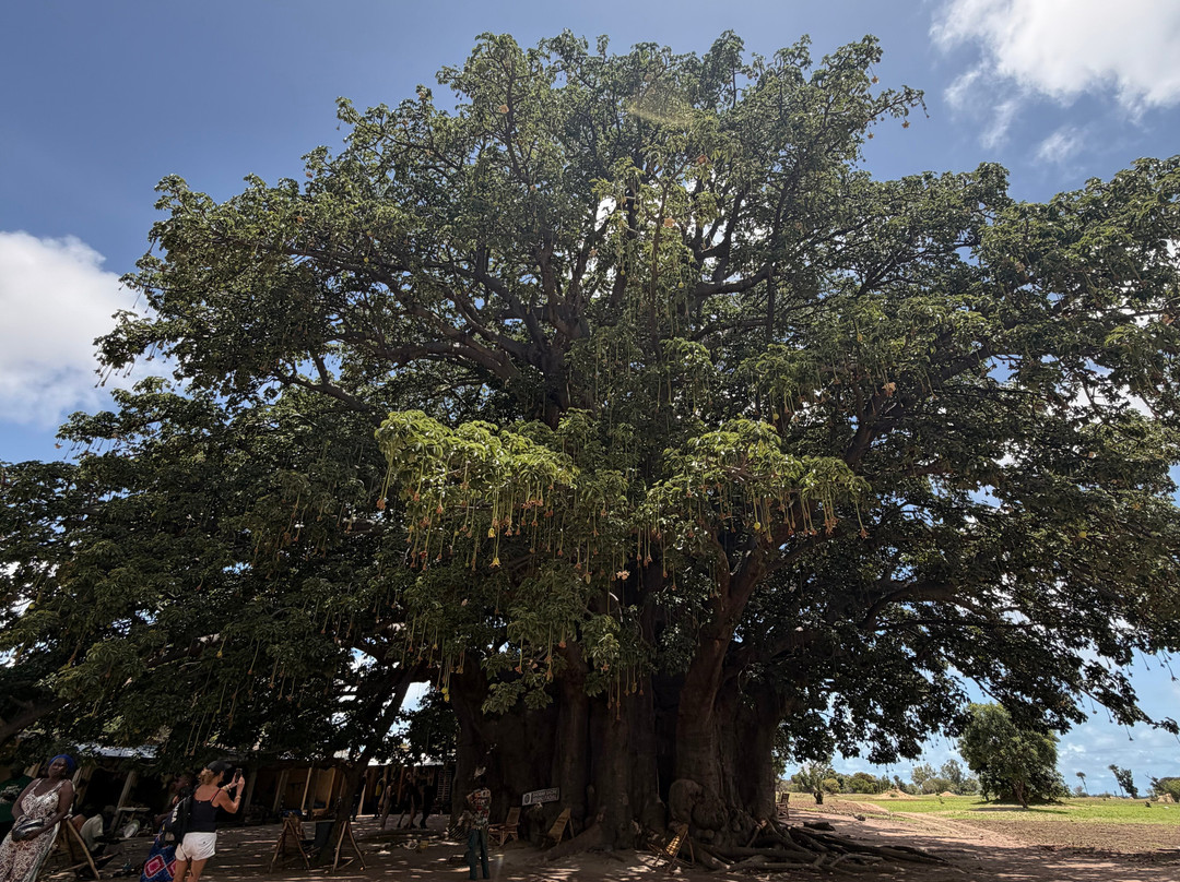 Babacar Trip Travel-Nianing必去景点