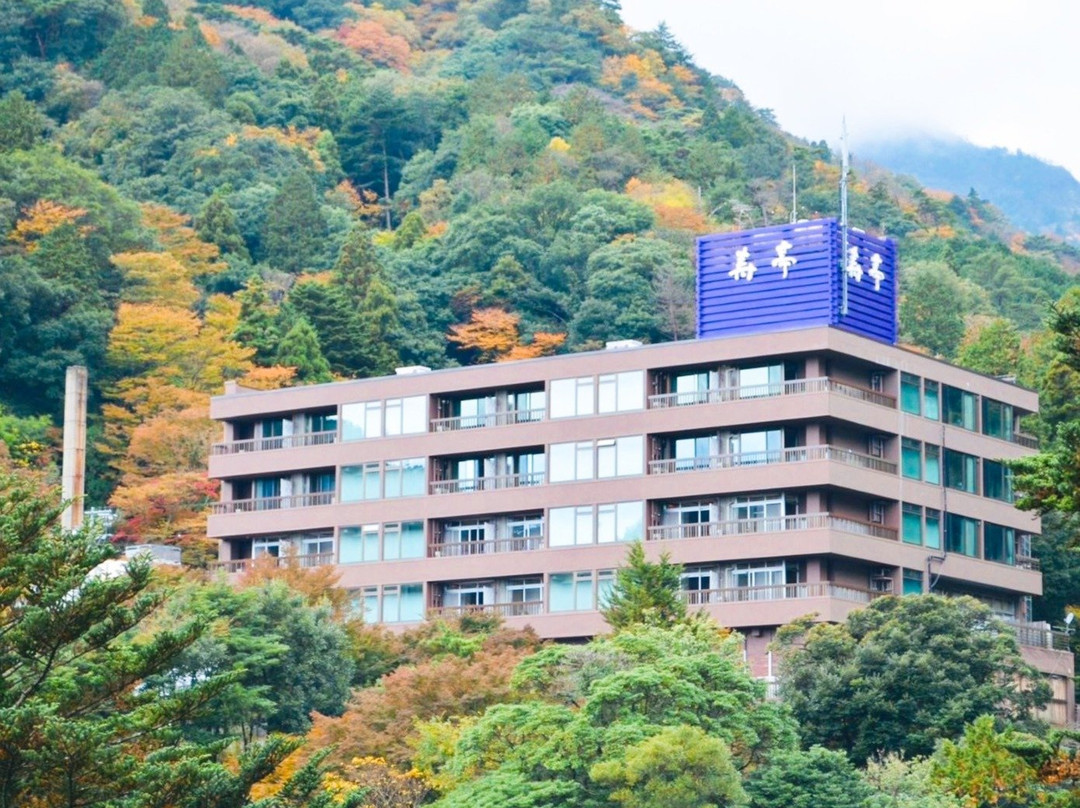 寿亭旅馆主图