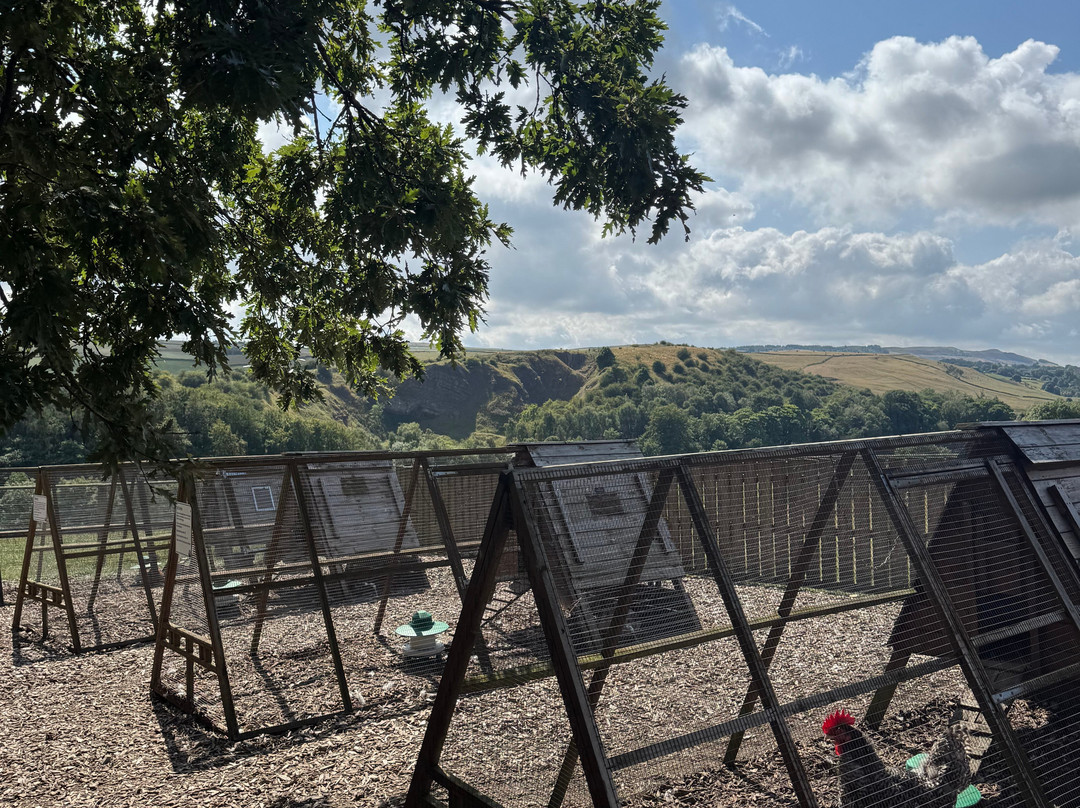 Hesketh Farm Park-斯基普顿必去景点