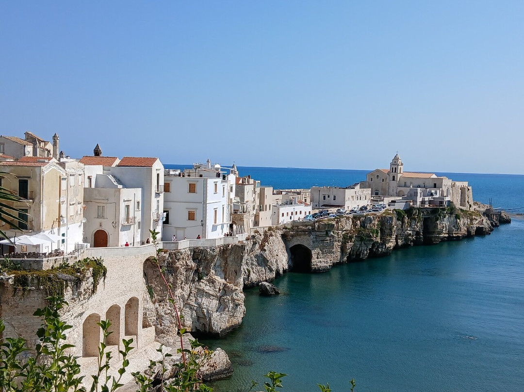 B&B  Navicri主图
