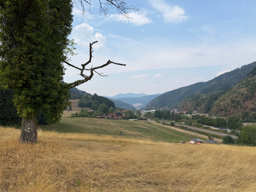 Park mit Allen Sinnen-Gutach im Schwarzwald必去景点