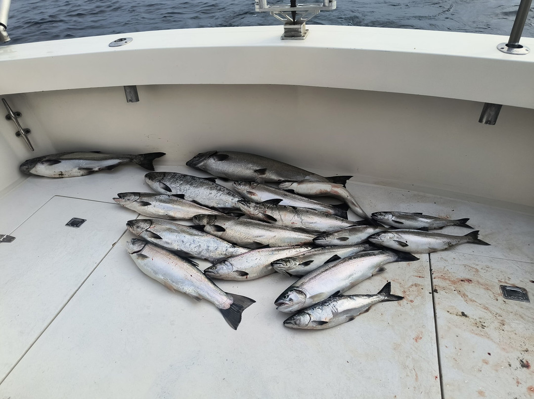 Kinn's Sport Fishing-Algoma必去景点