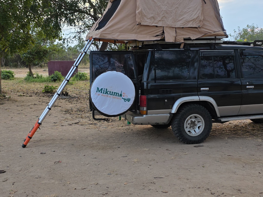 Mikumi Car Rental Safaris-Dar es Salaam必去景点