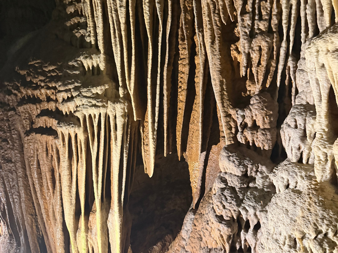 Grotte di Falvaterra-Falvaterra必去景点