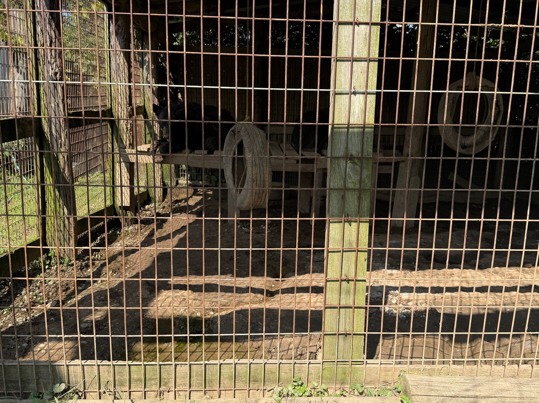 Critter Country Exotic Animals-Smithton必去景点