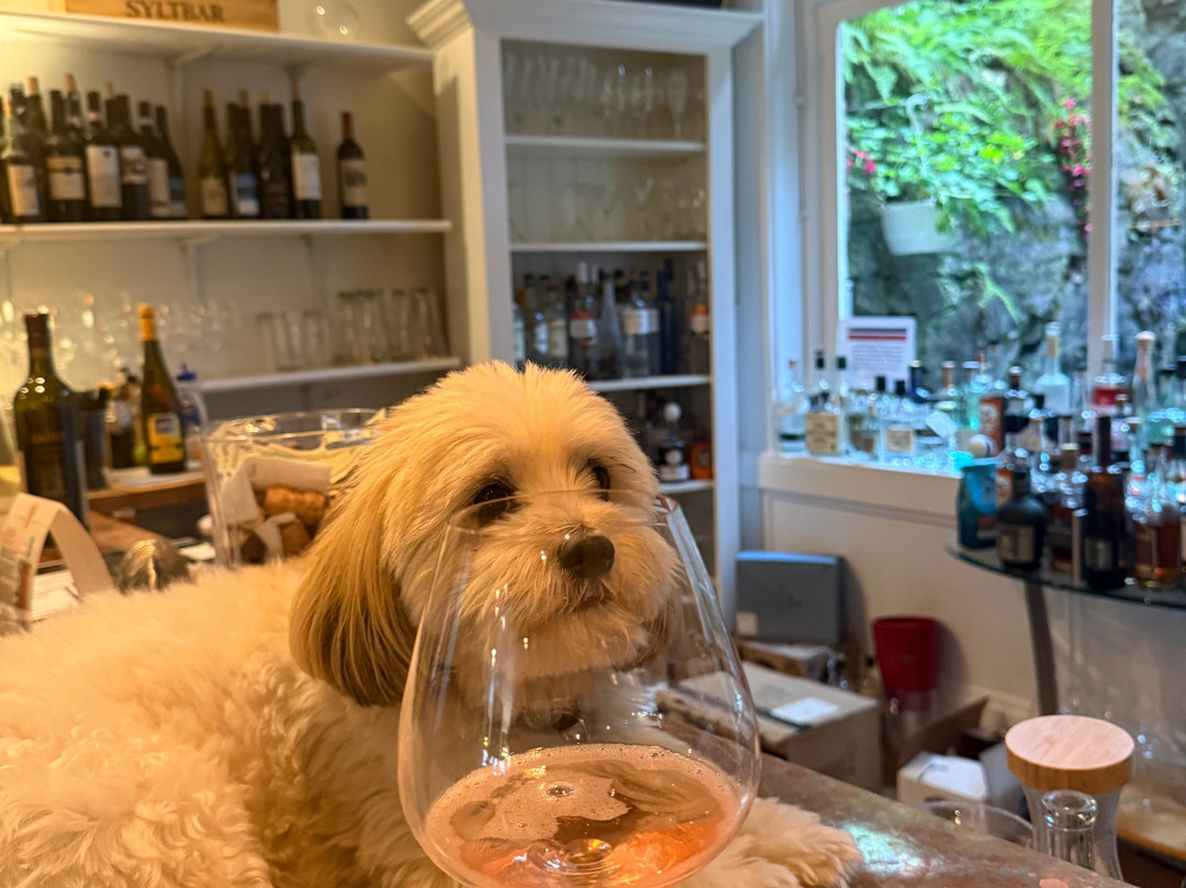 Jamie's Wine Studio-加利纳必去景点