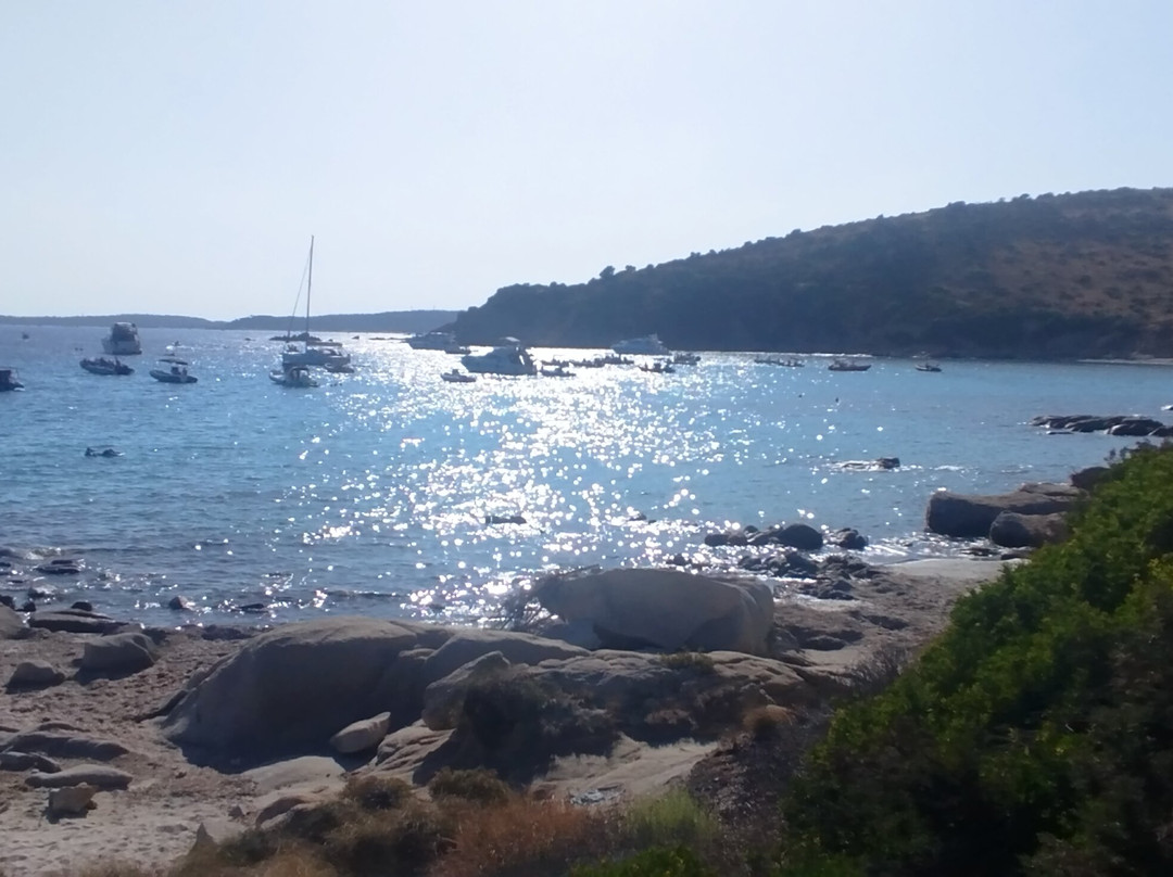 Spiaggia di Punta Molentis-维拉西谬斯必去景点