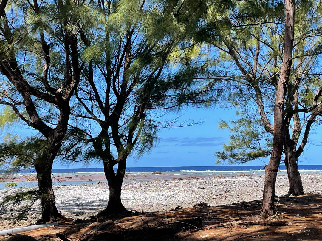 Motu Aito Paradise主图