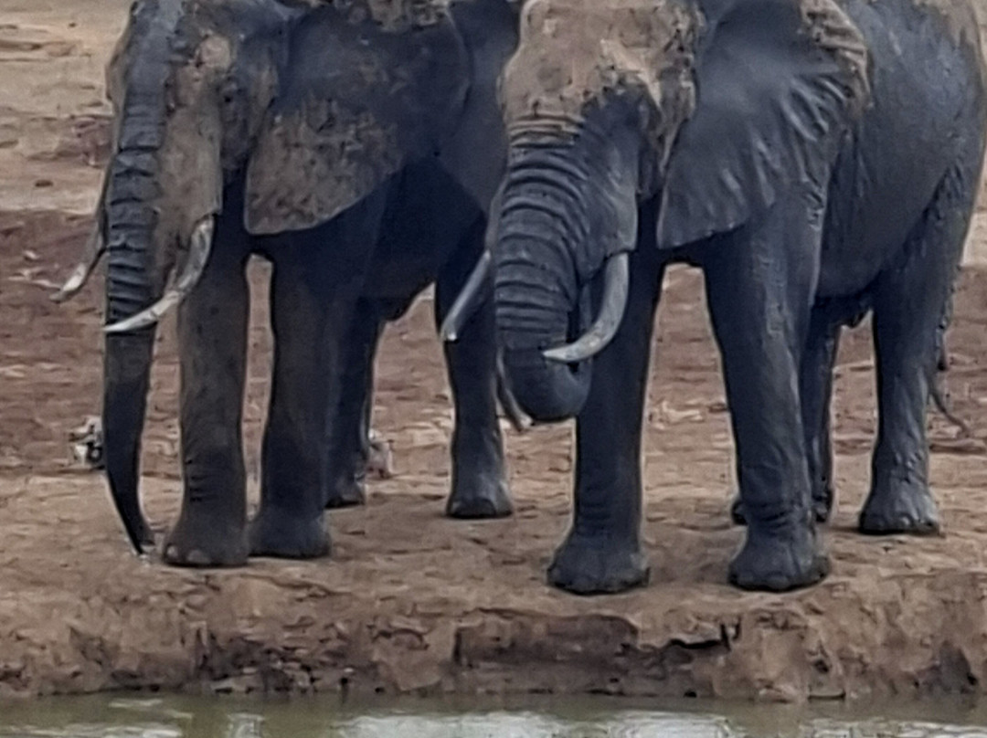 Top Africa Safaris-迪亚尼必去景点