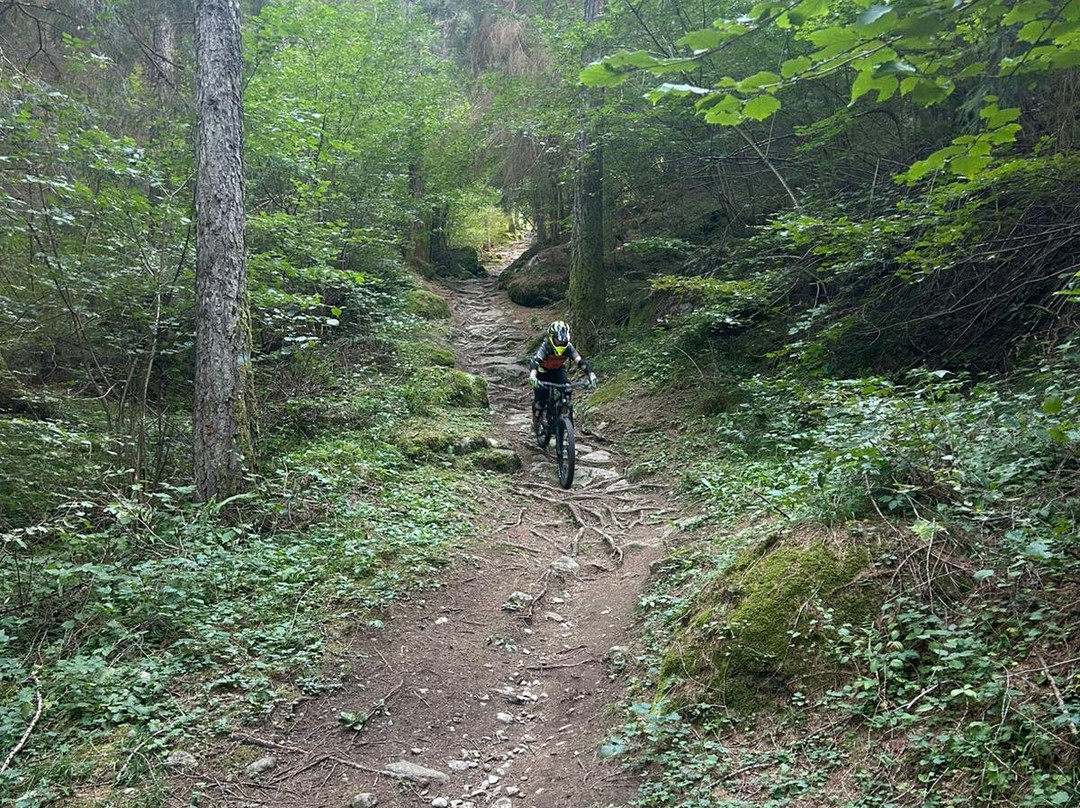 Centro Bike Val di Sole-Commezzadura必去景点