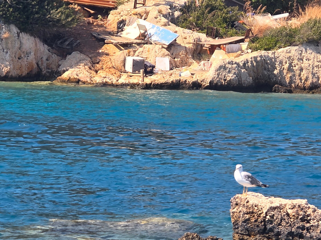 Tatil Sihirbazı Travel Agency-卡斯必去景点