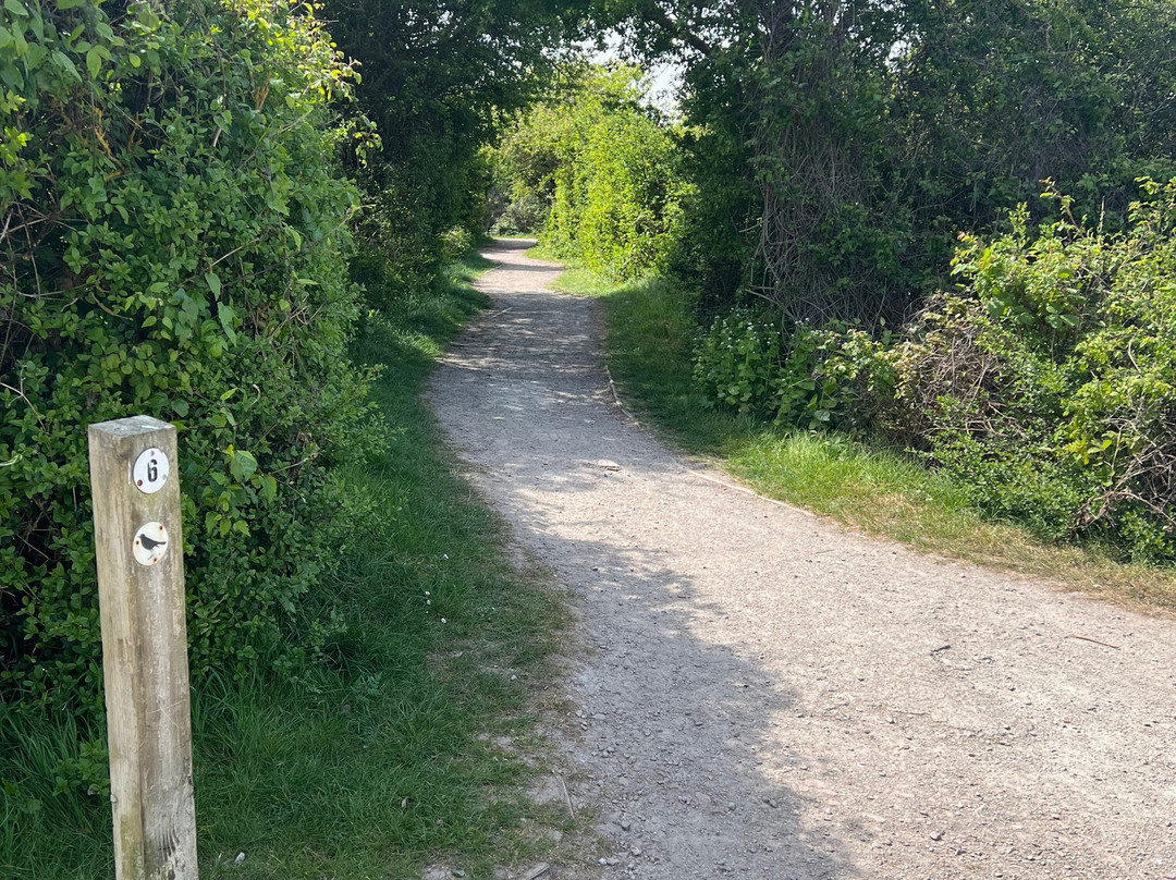 Riverside Country Park-吉林汉姆必去景点