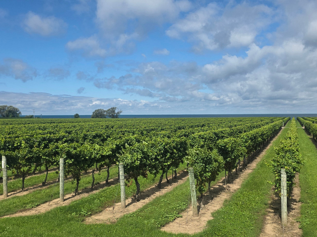 Konzelmann Estate Winery-滨湖尼亚加拉必去景点