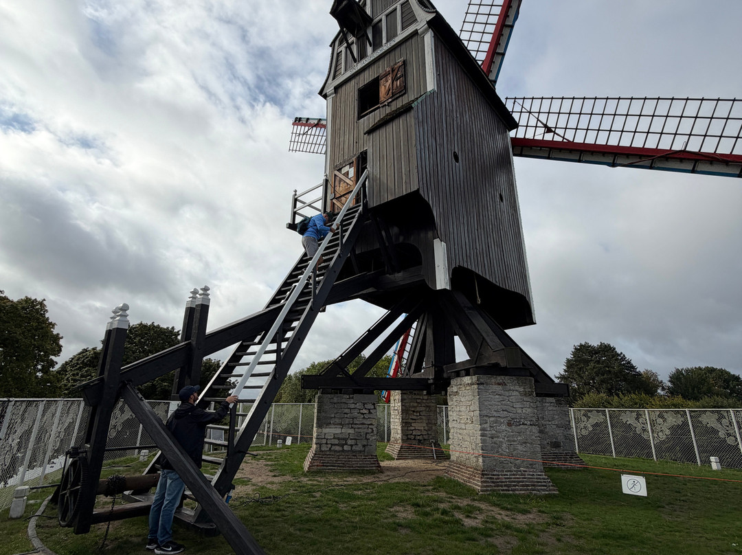 Windmills of Bruges-布鲁日必去景点